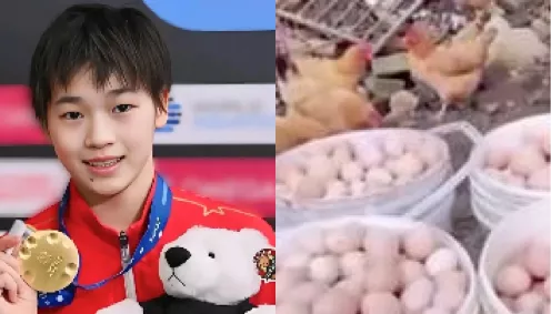 全红婵卖土鸡蛋