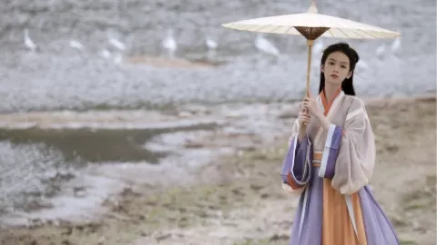 河南飞行员马楠开C919体验