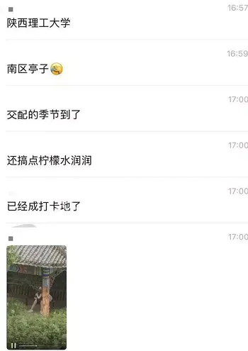 艳照风波