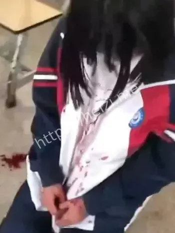 校园霸凌