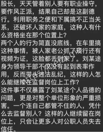 车震被拍