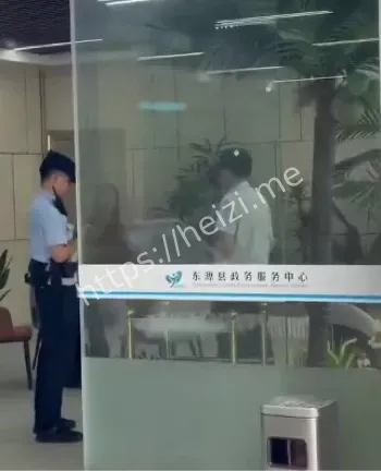 股长刘某