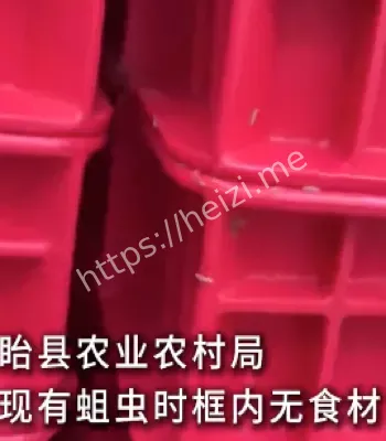 学校食堂