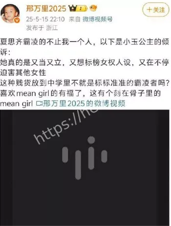 纤维粒