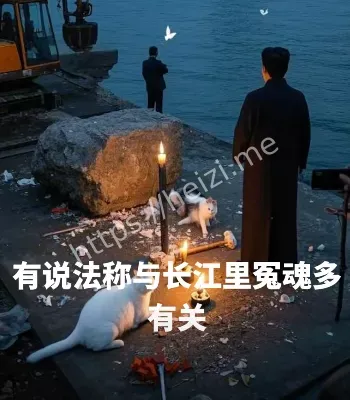 全市网红