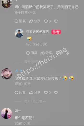 王诗雨