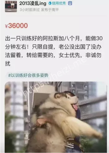 心理需求