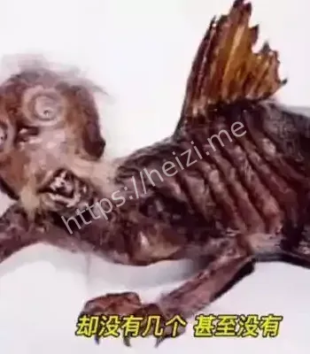 神秘生物