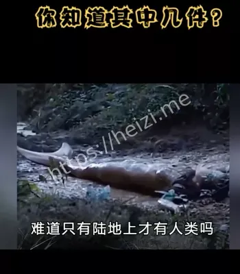 深海探秘