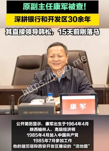 中央巡视组