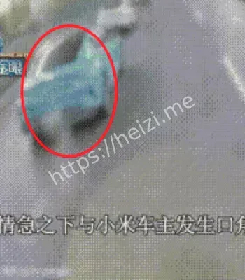 受害者成肇事者