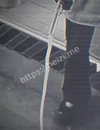 鬼车事件