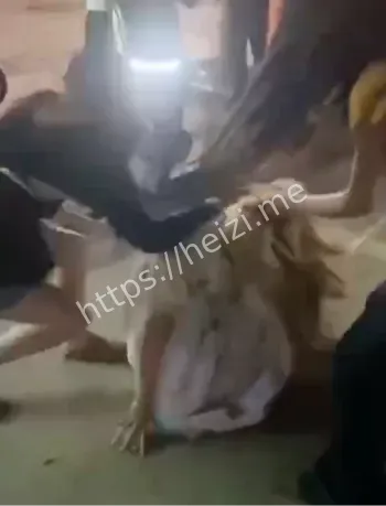 隐私泄露