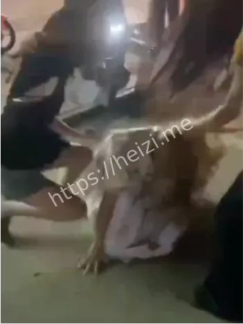 黄毛女孩