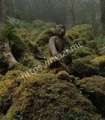云南哀牢山