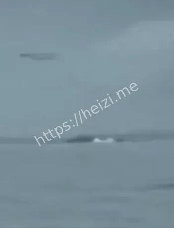 蛟龙