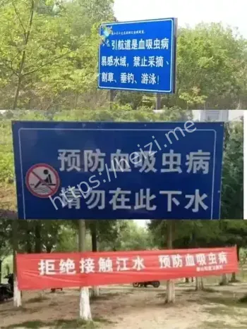 血吸虫病