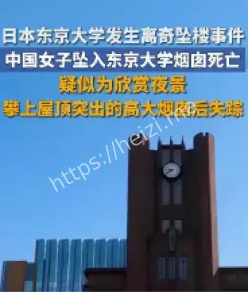 东京大学坠亡事件