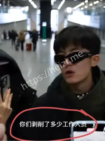 马天宇