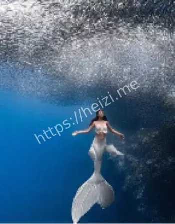 国家一级保护动物