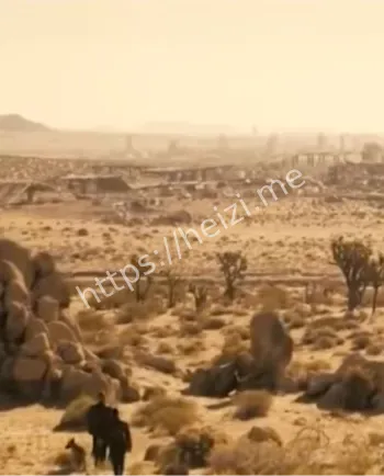 辐射第二季亚马逊上线