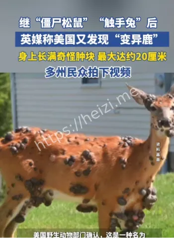 中国留学生