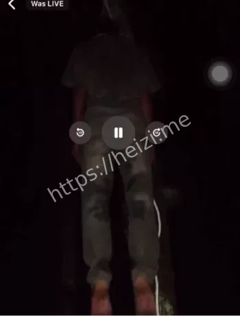 回放记录全过程