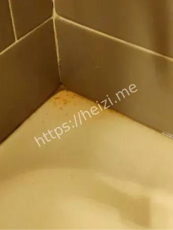 浴缸红线虫