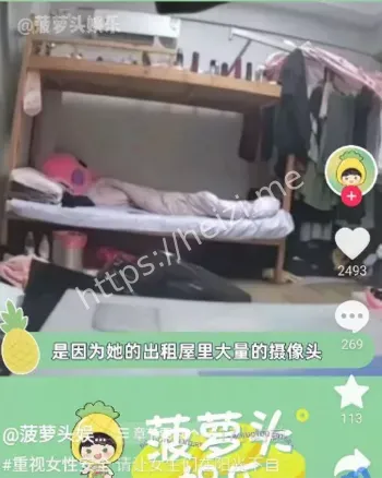 树洞论坛