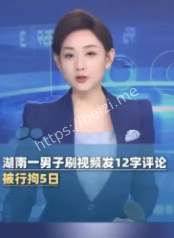 法律抗争