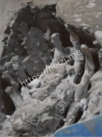 无期徒刑