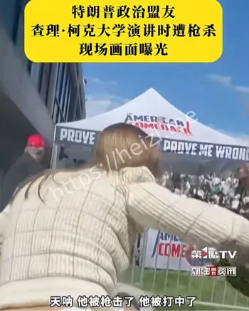 美国控枪辩论与极化