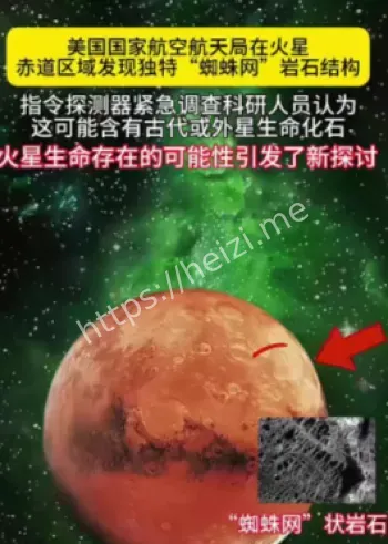 毅力号岩石样本