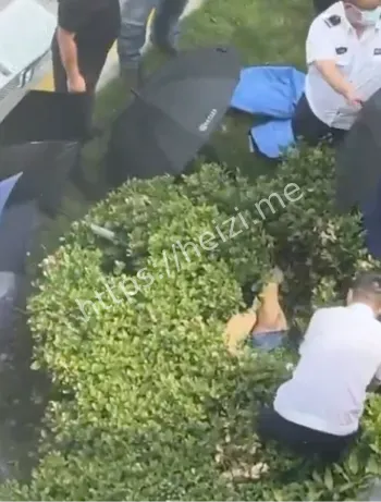 上海杉达学院