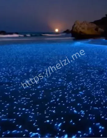 广东旅游新地标