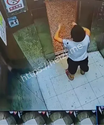 熊孩子扒门惨被卡