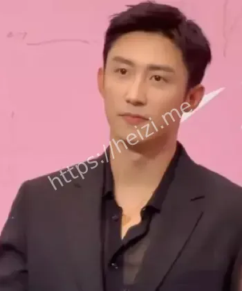 越南豪宅赠情人