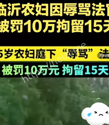 法庭质问法官被罚事件