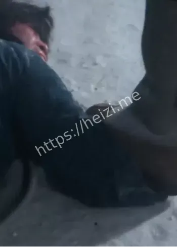 细菌战中国东北浩劫