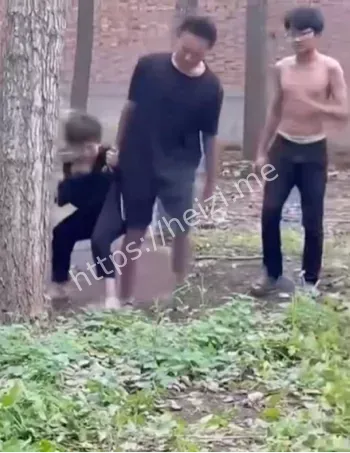 山东临清王集村霸凌事件