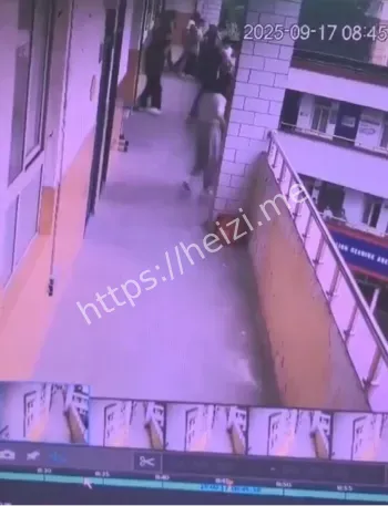 教师李曼曼体罚侮辱内幕