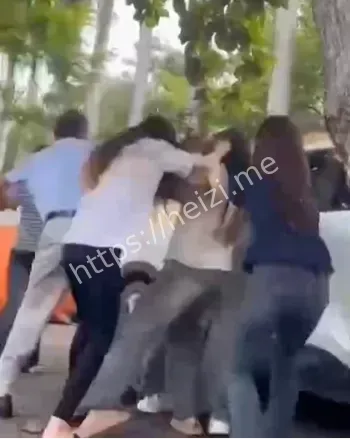 越南校园霸凌事件真相