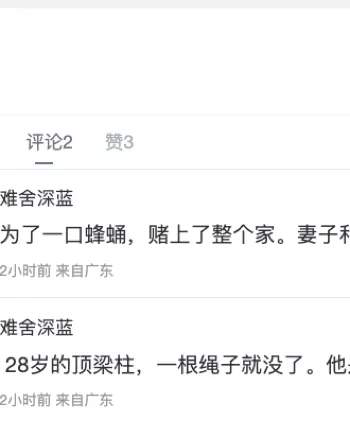 树上高处作业风险