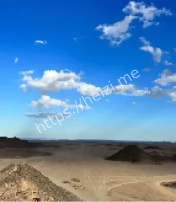 最孤独树卡车撞倒事件