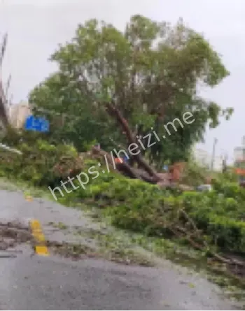 华南沿海风暴潮风险