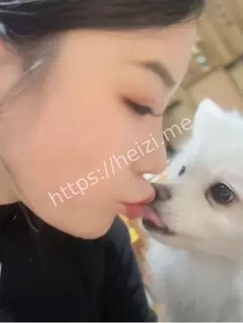 活不如狗系列美女狗子互动八卦