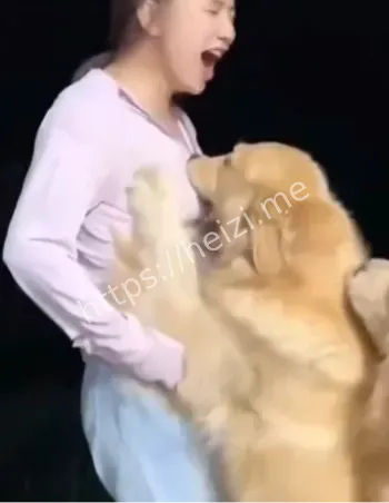 活不如狗系列文化心理解读