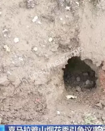 喜马拉雅升龙烟花争议