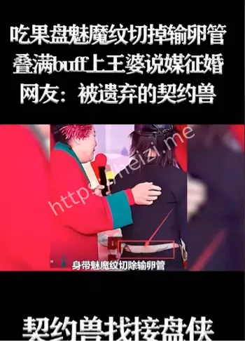 契约兽女孩王婆说媒事件