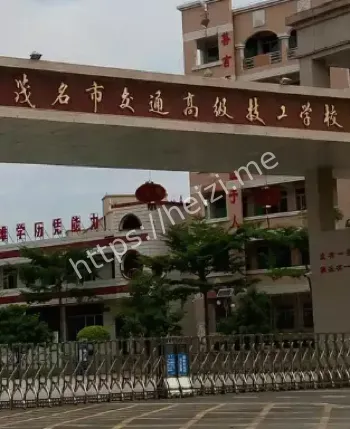 花样年华轻生